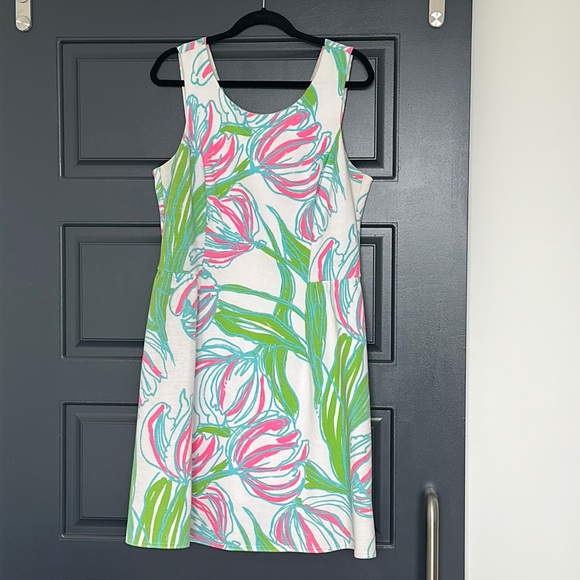 Lilly Pulitzer dress size xl - Picture 1 of 9